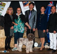 The Naked Hound Dog Grooming Salon - LBG