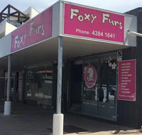 Foxy Furs Pet Grooming - LBG