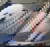 Vickis Little SnipPets - LBG