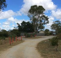 Alton Downs Boarding Kennels  Cattery - LBG