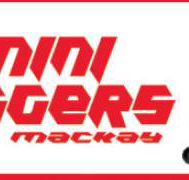 MJP Mini Diggers - LBG