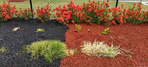 Professional Excavations - LBG 2