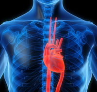Achieve Exercise Physiologists - LBG