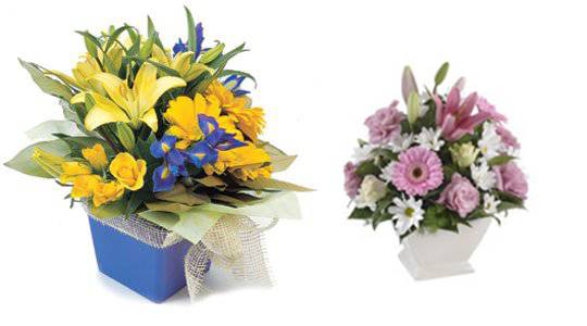 Florists Palmwoods QLD LBG