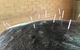Ben Walder Horse Acupuncture & Iridology - thumb 3