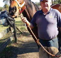 Brian S Grant Horse Dentistry  Farrier Service - LBG
