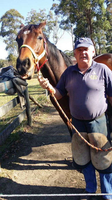 Brian S Grant Horse Dentistry & Farrier Service - LBG 0