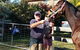 Brian S Grant Horse Dentistry & Farrier Service - thumb 1