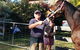 Brian S Grant Horse Dentistry & Farrier Service - thumb 2
