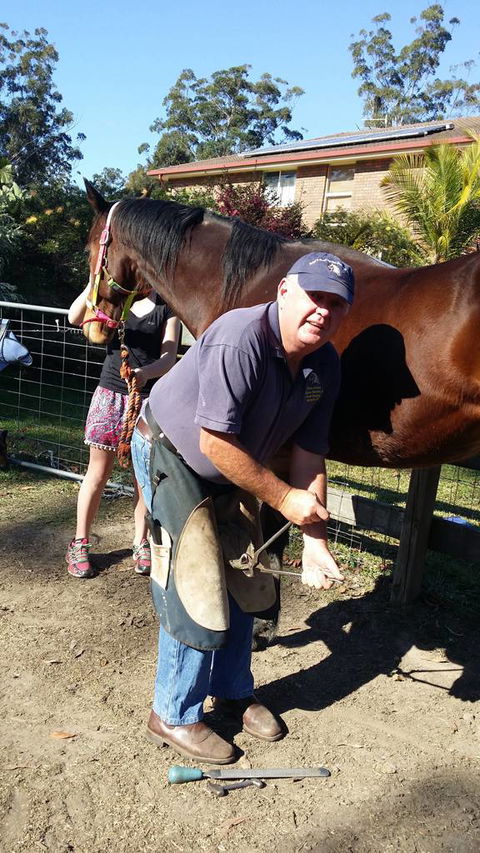 Brian S Grant Horse Dentistry & Farrier Service - LBG 3