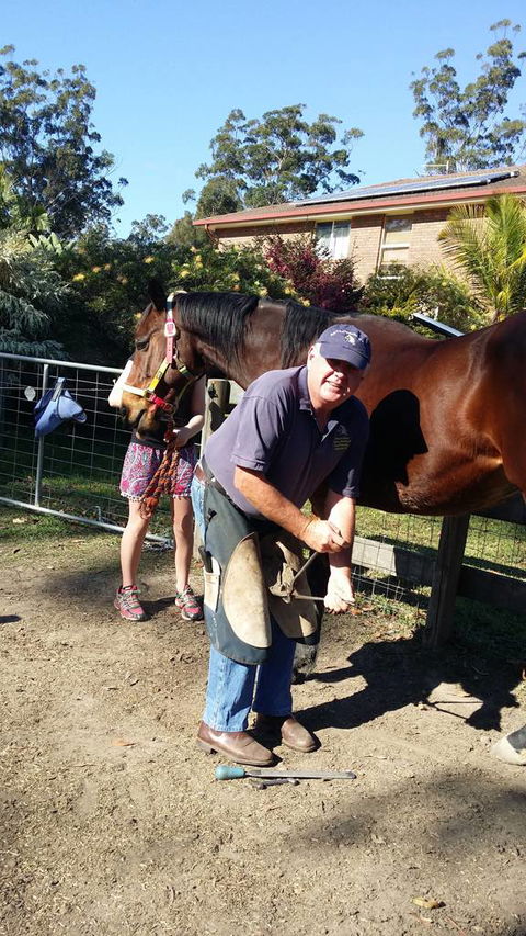 Brian S Grant Horse Dentistry & Farrier Service - LBG 4