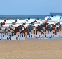 Causeway Equestrian - LBG