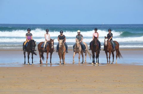 Causeway Equestrian - LBG 0