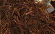 Cairns Raw Materials - thumb 7