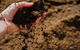 Rural Garden Supplies - thumb 0