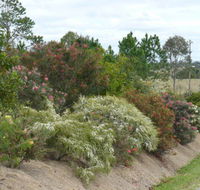 Sunshine Coast Native Landscapes - LBG