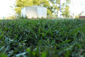 Lawn Turf Supplies Kia Ora QLD LBG