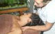 Darwin Sports & Remedial Massage Therapy - thumb 1