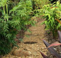 Plant Connections - LBG