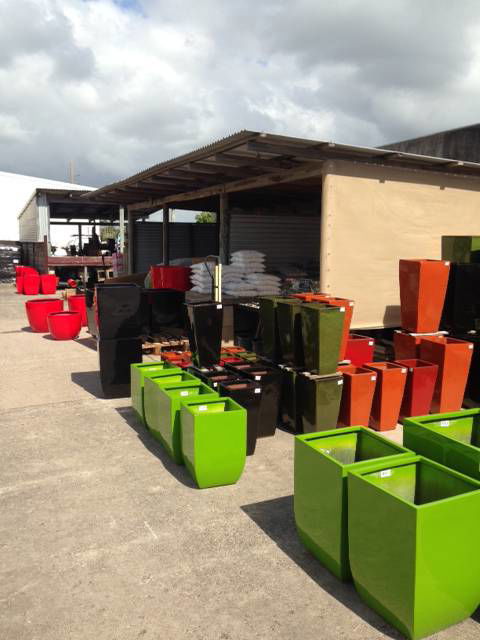 Kawana Plants ‘N Palms ‘N Pots - LBG 0