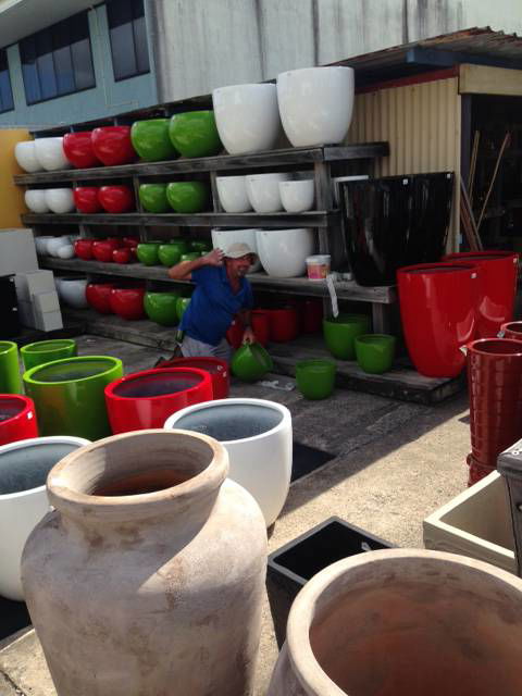 Kawana Plants ‘N Palms ‘N Pots - LBG 3