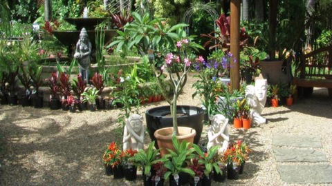 Doonan Valley Garden Centre - LBG 2