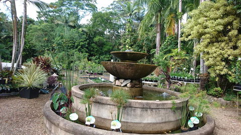 Doonan Valley Garden Centre - LBG 4