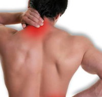 Dr James S Thomson - LBG