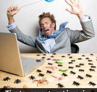 Southern Cross Termite  Pest Control - LBG