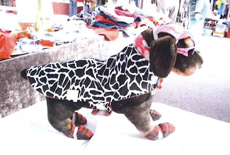 Margarets Dog Coats And Accessories - LBG 1