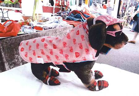 Margarets Dog Coats And Accessories - LBG 3