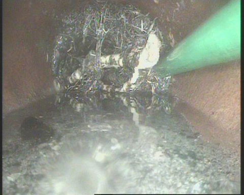 DRAINS KLEEN - LBG 4