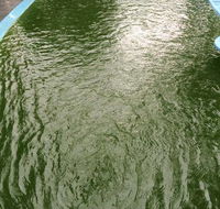 Friendly Pool  Spa Care - LBG