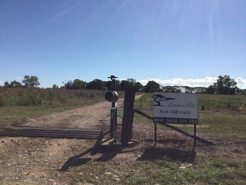 Poinciana Park Fodder Production - LBG 0