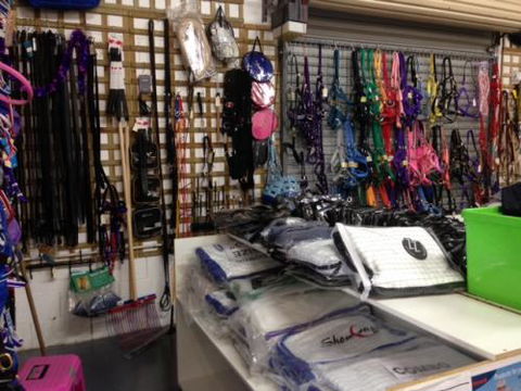 Dee-Amber Rural Supplies Saddlery - LBG 0