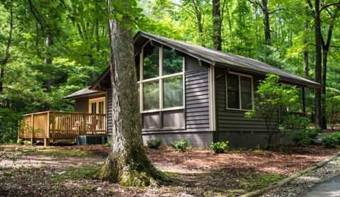 Amicalola Falls State Park And Lodge - LBG 34