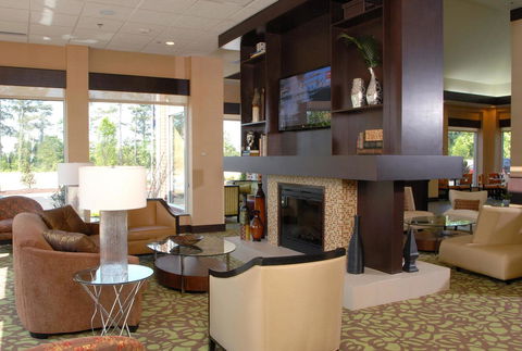 Hilton Garden Inn Atlanta/Peachtree City - LBG 9