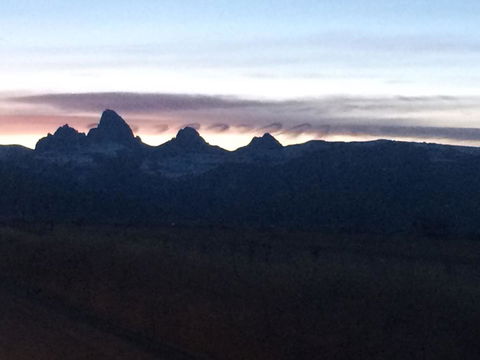 TOA Ranch - LBG 25