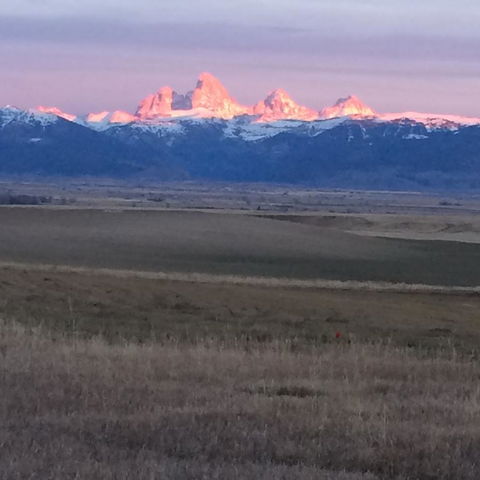 TOA Ranch - LBG 9