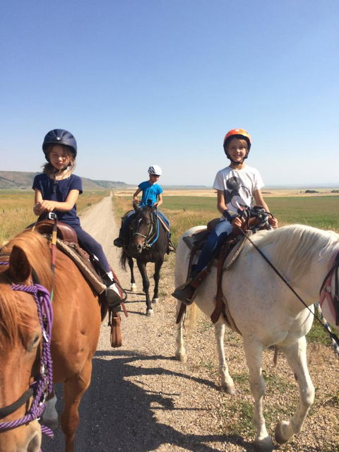 TOA Ranch - LBG 3