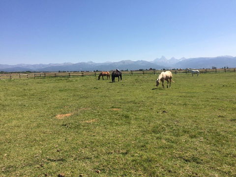 TOA Ranch - LBG 13