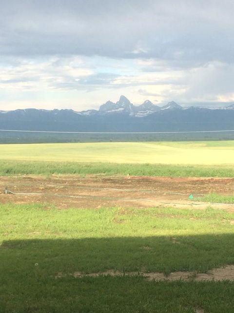 TOA Ranch - LBG 16