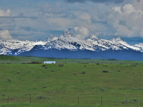 Badger Creek Meadows - LBG 0