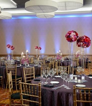 Chicago Marriott Naperville - LBG 22