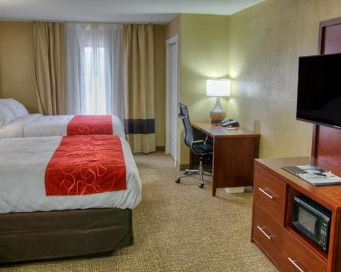 Comfort Suites Plymouth - LBG 25