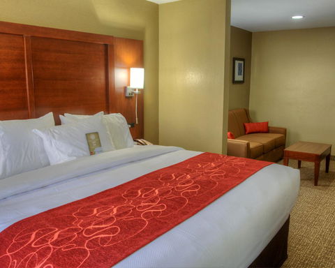 Comfort Suites Plymouth - LBG 20