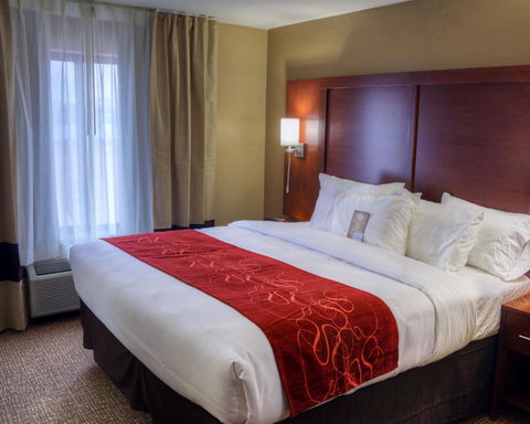 Comfort Suites Plymouth - LBG 19