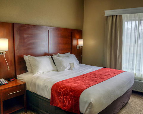 Comfort Suites Plymouth - LBG 15
