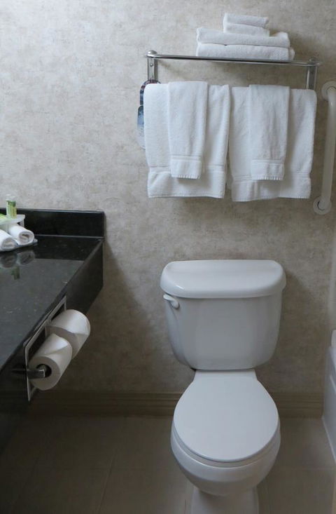 Holiday Inn Express Plymouth - LBG 28