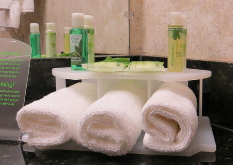 Holiday Inn Express Plymouth - LBG 29